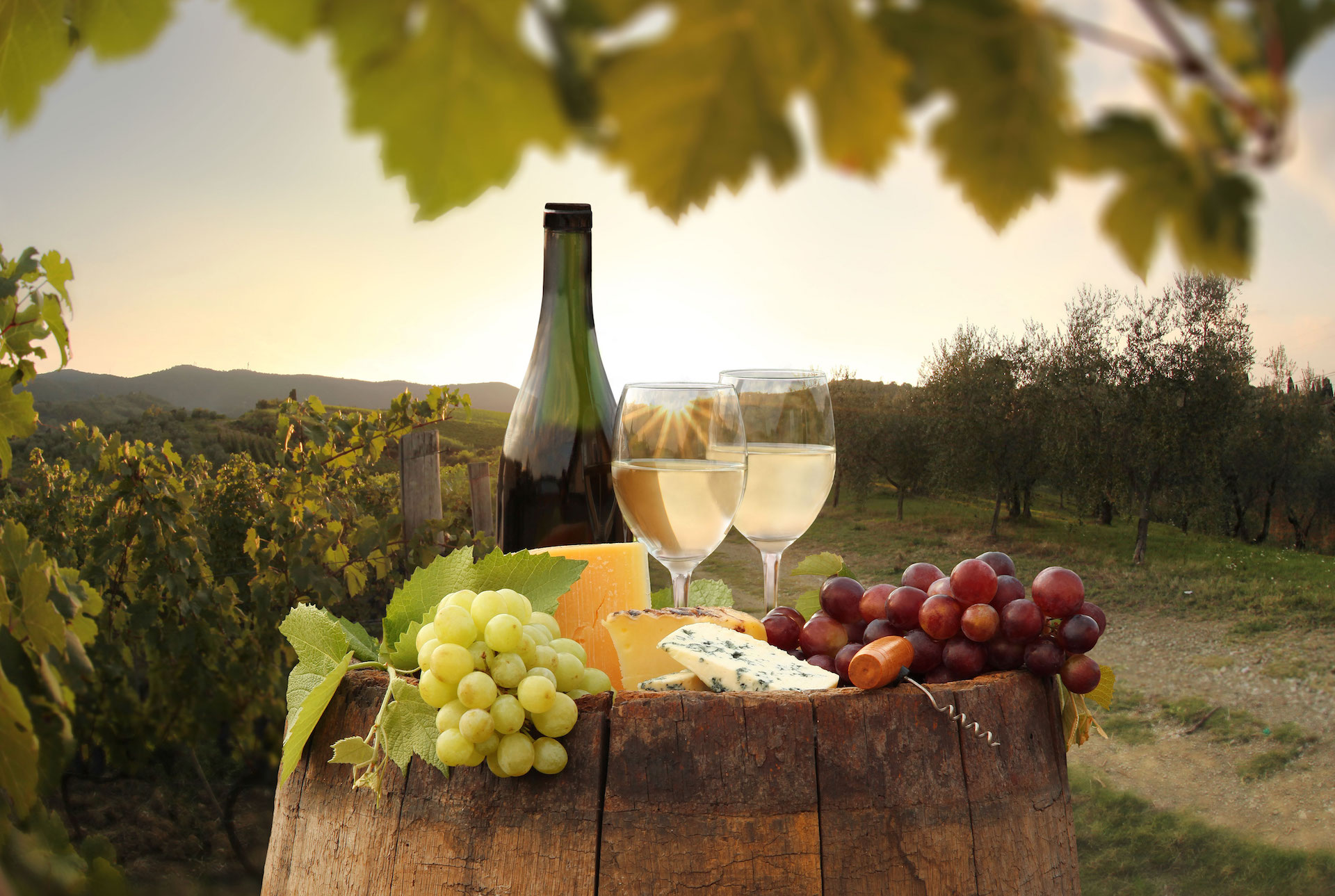 Öl und Wein in Italien Piccola Università Italiana